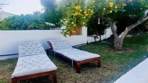 Villa Veracruz Pool & BBQ