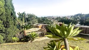 Villa Veracruz Pool & BBQ