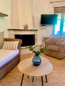 Forest view evia