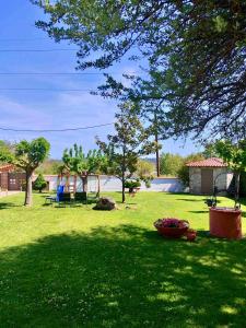 Forest view evia