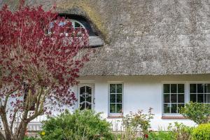 Haus am See