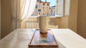 In Anfiteatro. Vivere Lucca immersi nella storia