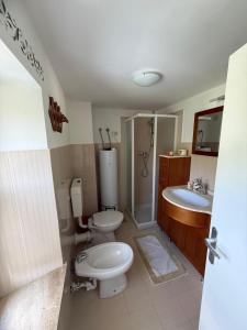 Cjasa da Puci