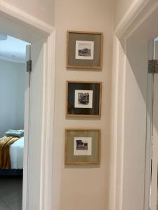 Central Green Point Apartment