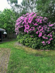 Classic Timber Cottage Close To Forest And Beach