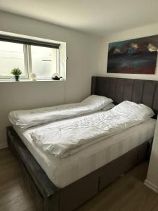 Cozy Keflavk Apartment
