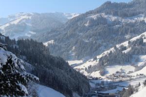 Appartementhaus Schützenhof Schied