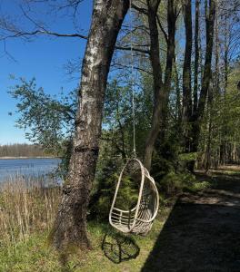 The lake house