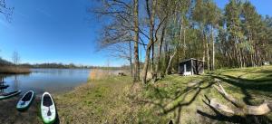 The lake house