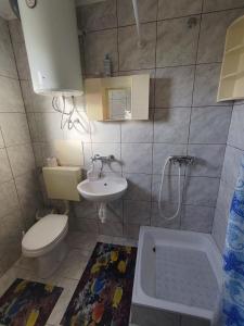 Studio apartman Ana
