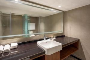 Radisson Hotel Sonamarg