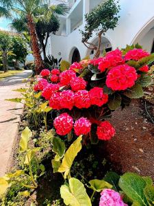 Apartamento Hacienda Beach