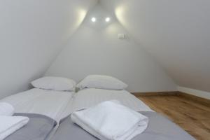 Blisko Wszędzie - apartament w centrum - APARTZAKOP