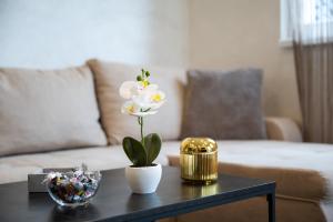 New Modern Apartments with Private Parking