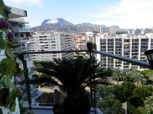 Aloha Benidorm