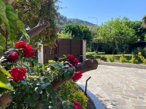 VILLA ROMA Resort