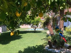 VILLA ROMA Resort