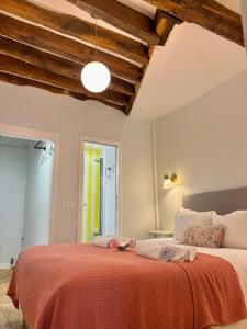 Odéon Saint Germain - Central Flat Aldaro
