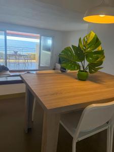 VILLAS COSETTE Apartamento CAPANEMA 1