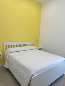 I Colori della Bellezza