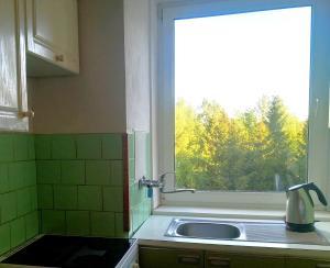 Apartmán s 2 balkónmi pri lese Horný Smokovec