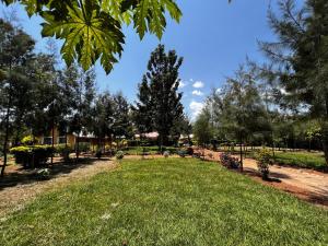 Chakruok Gardens, Hawi