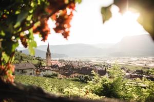 Ansitz Rynnhof - Ferienwohnungen am Bioweinhof in Tramin, Ruhe, Wein & Aktivurlaub