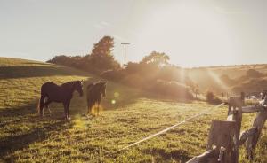 Olive Ranch luxury bell tent glamping By Air Premier