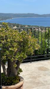Villa CACHARELLE - Splendide vue Mer - Piscine privée