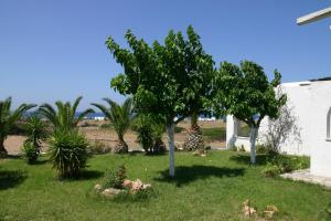 Scala Apartments Naxos Greece