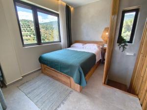 my suite home