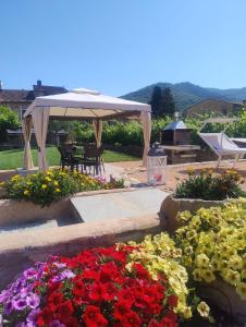 Agriturismo il Borgo - Lavanda
