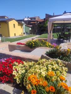 Agriturismo il Borgo - Ulivo