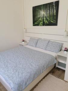 Borika Vip Apartment