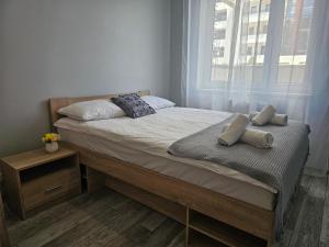 Apartament Strefa Czasu z wewnętrznym ogrodzonym parkingiem