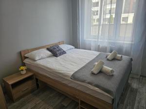 Apartament Strefa Czasu z wewnętrznym ogrodzonym parkingiem