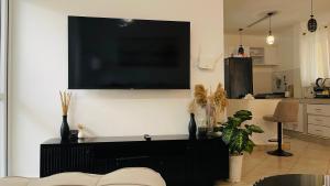 Dallas Apartment