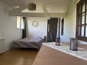 Maison cosy T2 en bord de rivière