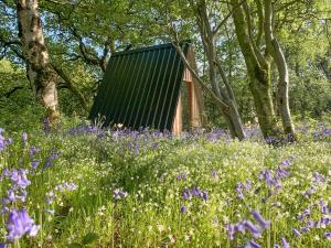 Wheatsheaf Cottage - 80021