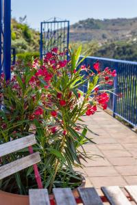 B&B Finca Floretta