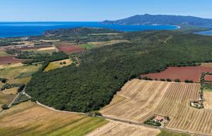 Affitti Brevi Toscana - Ospitalità in Maremma