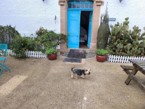 Gascon house close to Marciac jazz festival