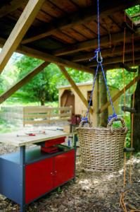 Creatively Converted Wooden Shed In The Forest
