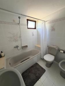 Aretis Sea and Castle Retreat