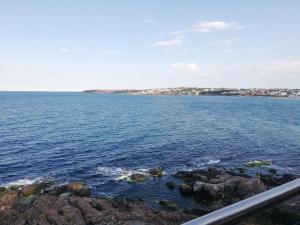 Стаи за гости Синева