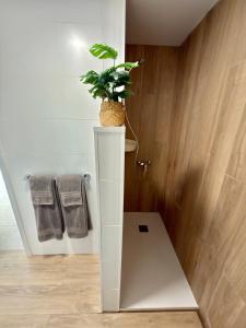 Vista Dorada 119