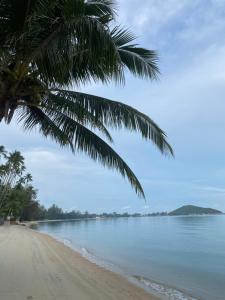 Arunta Samui