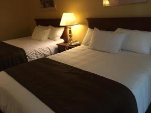 Motel Cofotel