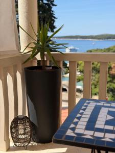 Apartments Villa Dinka