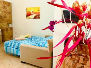 Magic Dream - Home Holiday